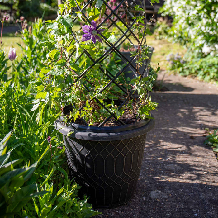 Empire Jumbo Trellis Planter in Brushed Champagne