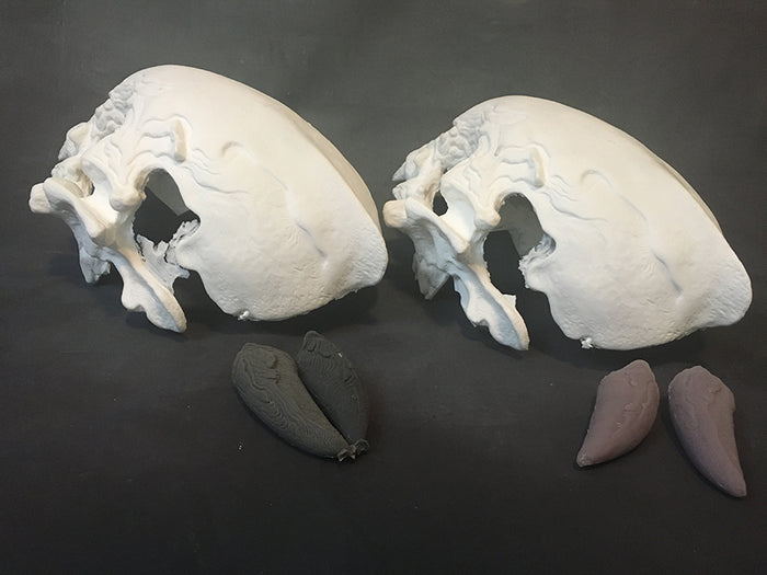 FATALIS BLANK MASK- READY TO SHIP