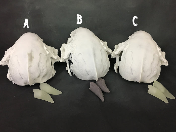 FATALIS MASK BLANK