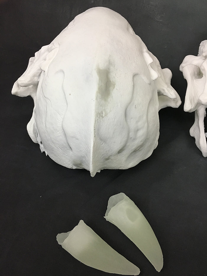 FATALIS MASK BLANK