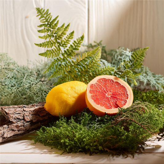 Fern & Moss Fragrance Oil 646