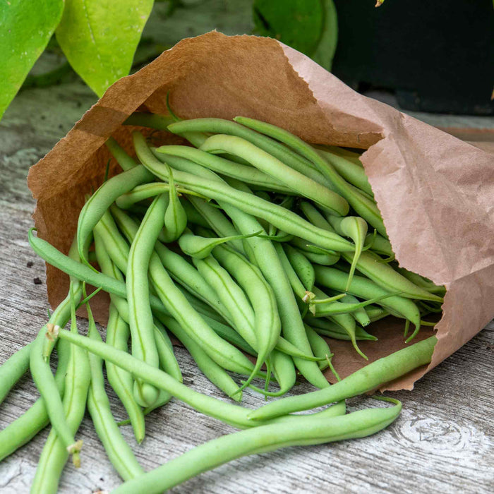 French green beans in a brown paper bag on a wooden surface.
