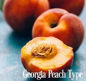 Georgia Peaches Fragrance Oil 20034
