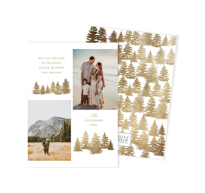 Golden Spruce