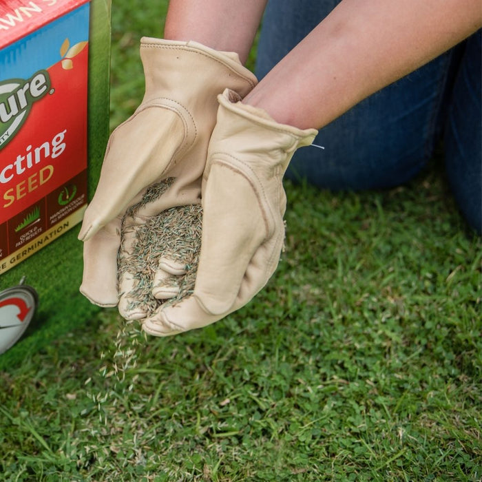 Gro-Sure Fast Acting Lawn Seed
