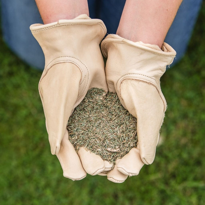 Gro-Sure Fine & Luxurious Lawn Seed