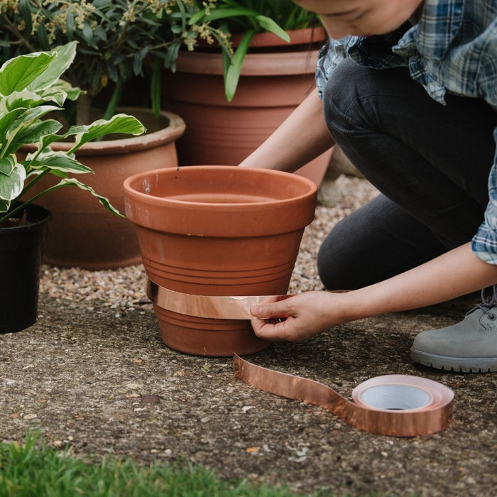 Growing Success Slug Barrier Kit