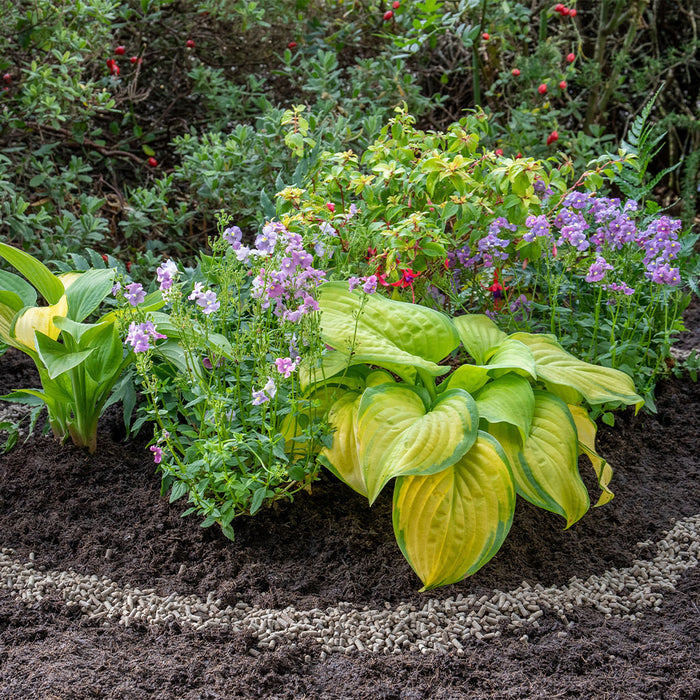 Growing Success Slug Barrier Kit