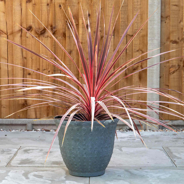 Hobnail Planter in Faux Concrete 33cm