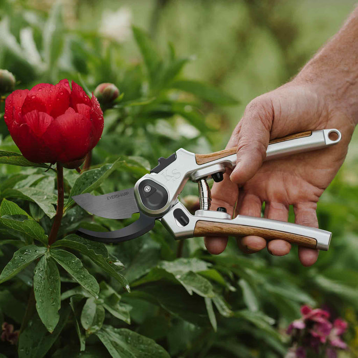 Kent & Stowe Eversharp™ Premium Secateurs Twin Pack Gift Set