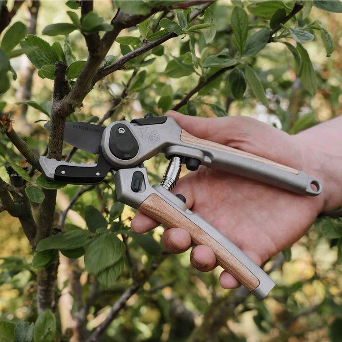 Kent & Stowe Eversharp™ Premium Secateurs Twin Pack Gift Set
