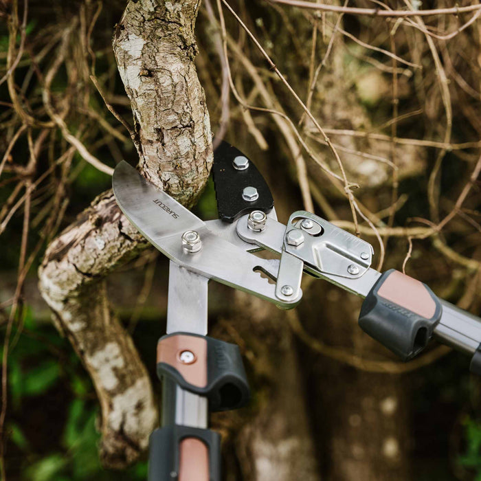 Kent & Stowe SureCut Hard Wood Extra Power Ratchet Anvil Loppers