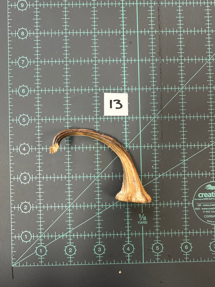 13