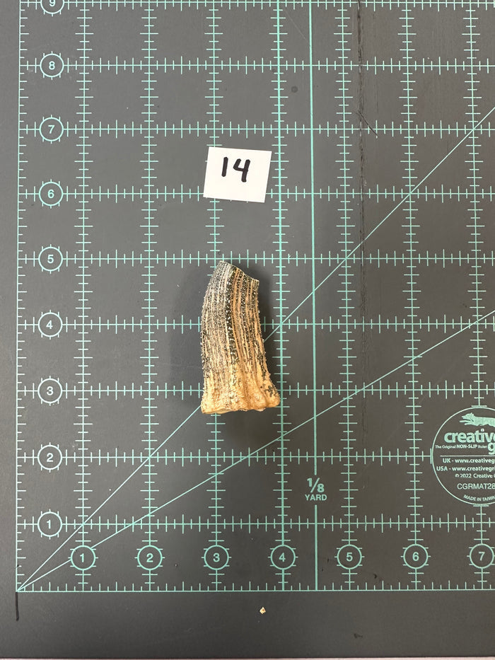 14