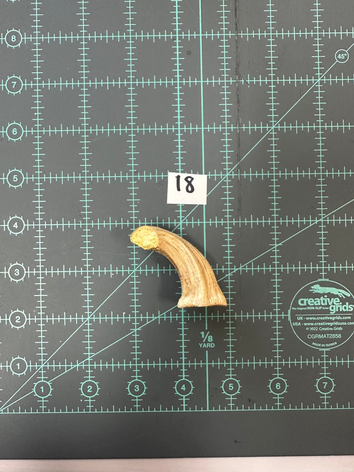 18