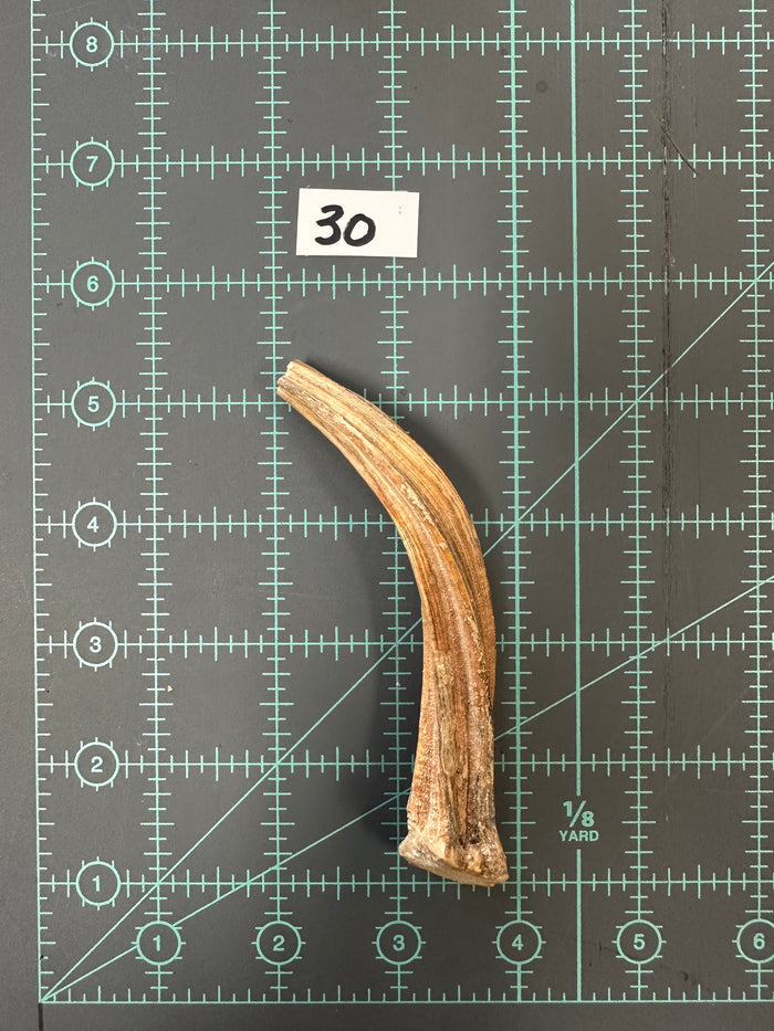 30