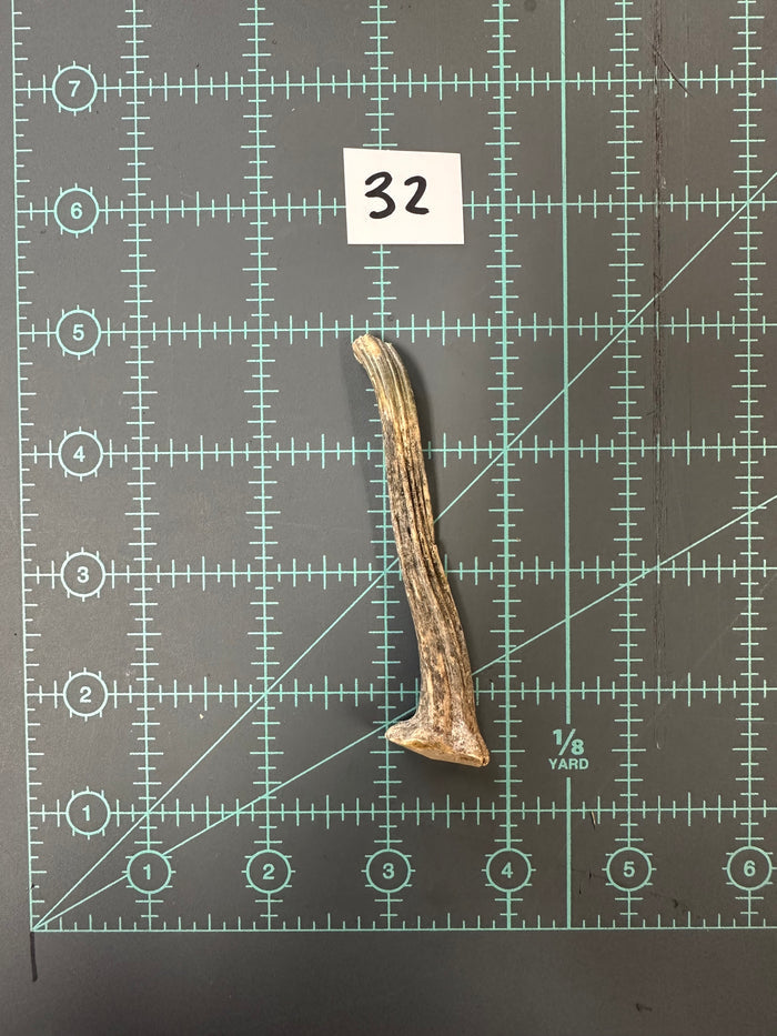 32