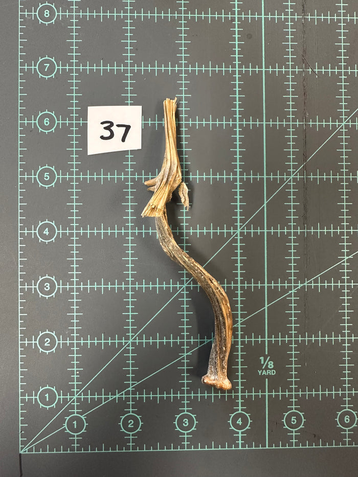 37