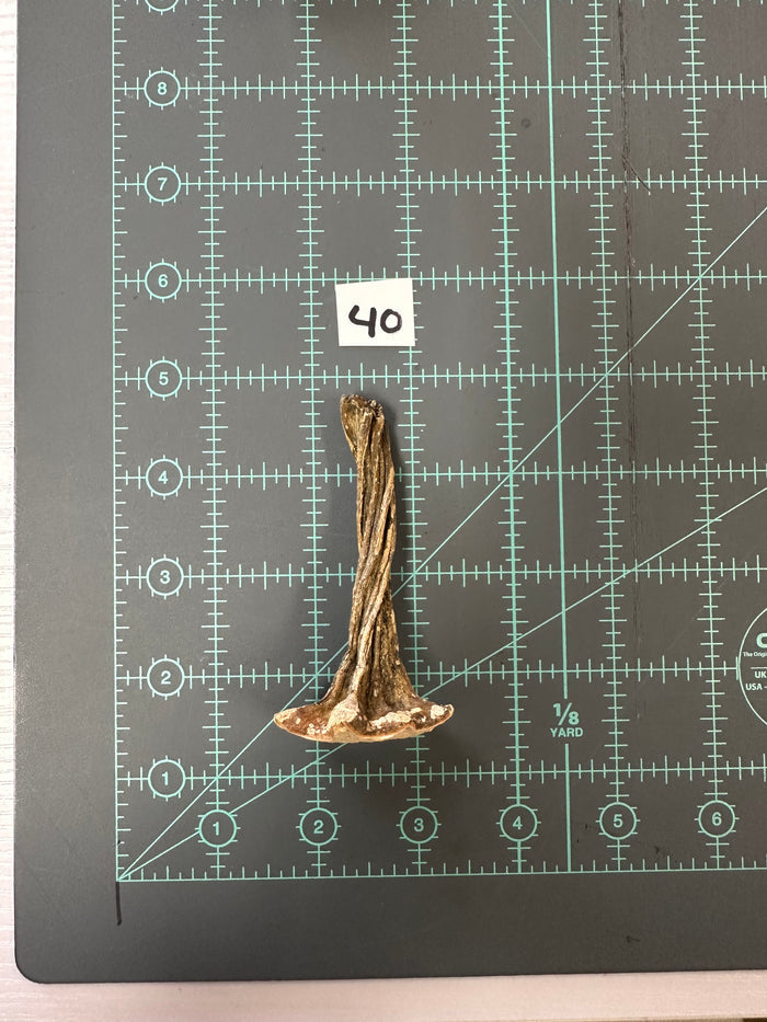 40