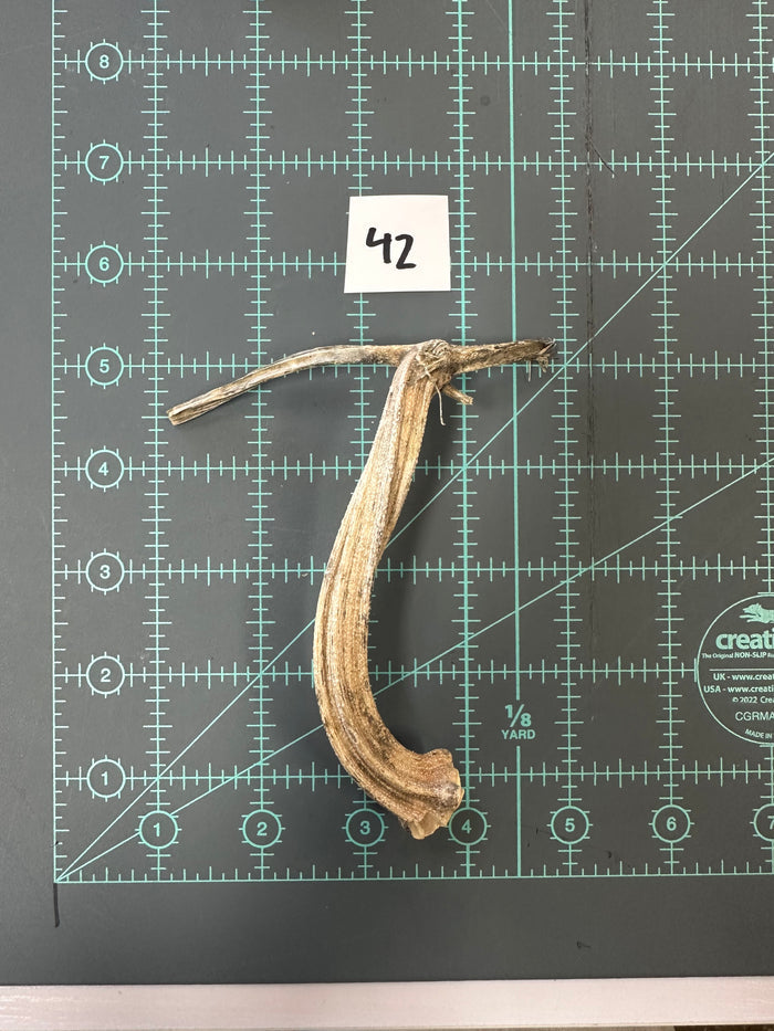 42