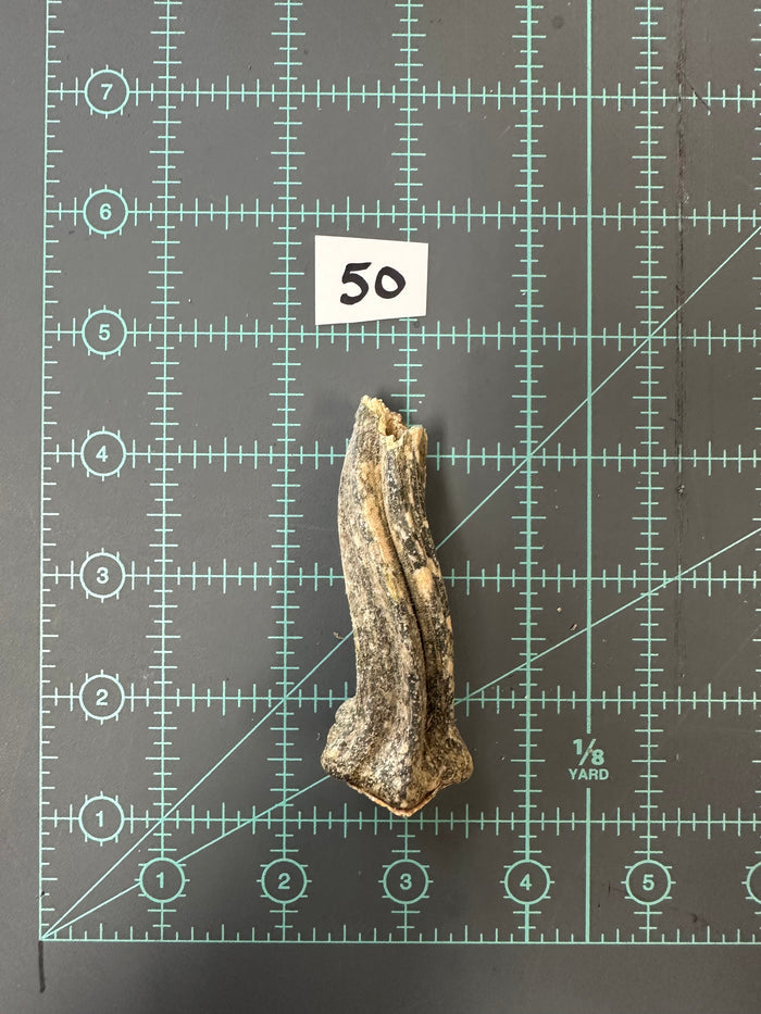 50