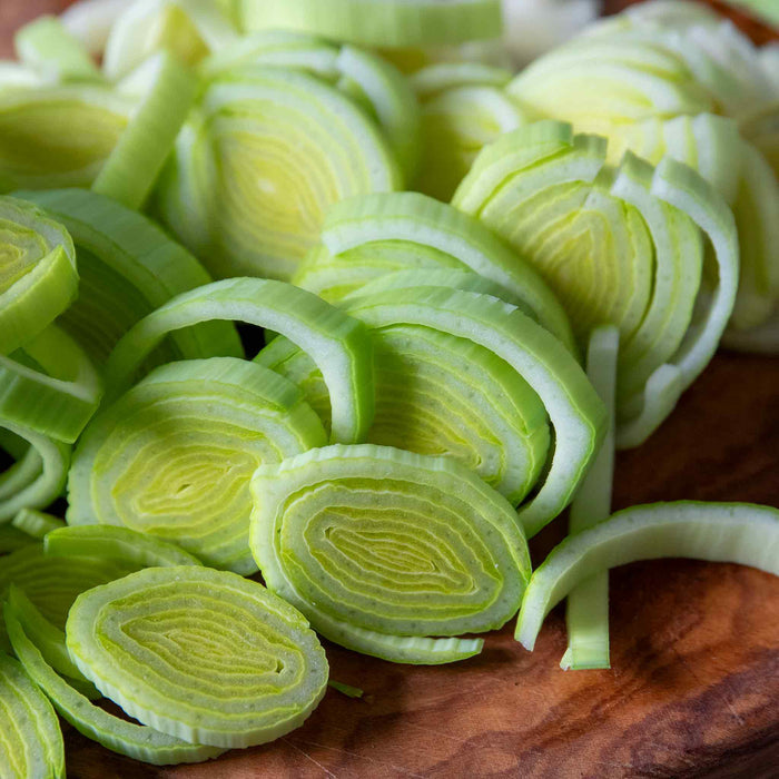 Leek 'Jolant'