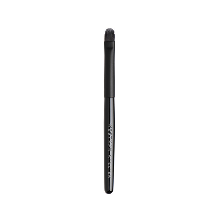 LIP BRUSH