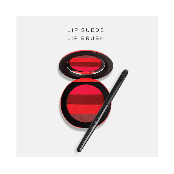 LIP BRUSH