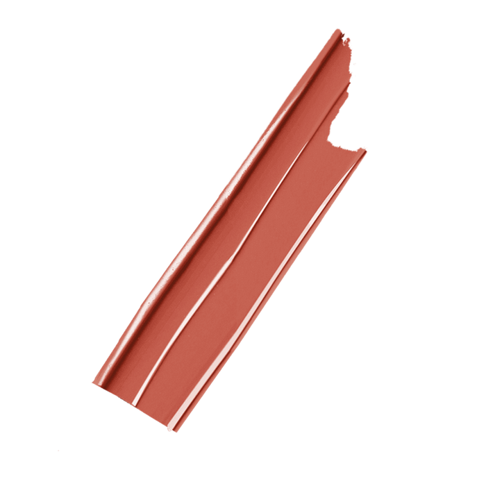 LOREAL PARIS & ELIE SAAB Color Riche X Elie Saab Limited Edition