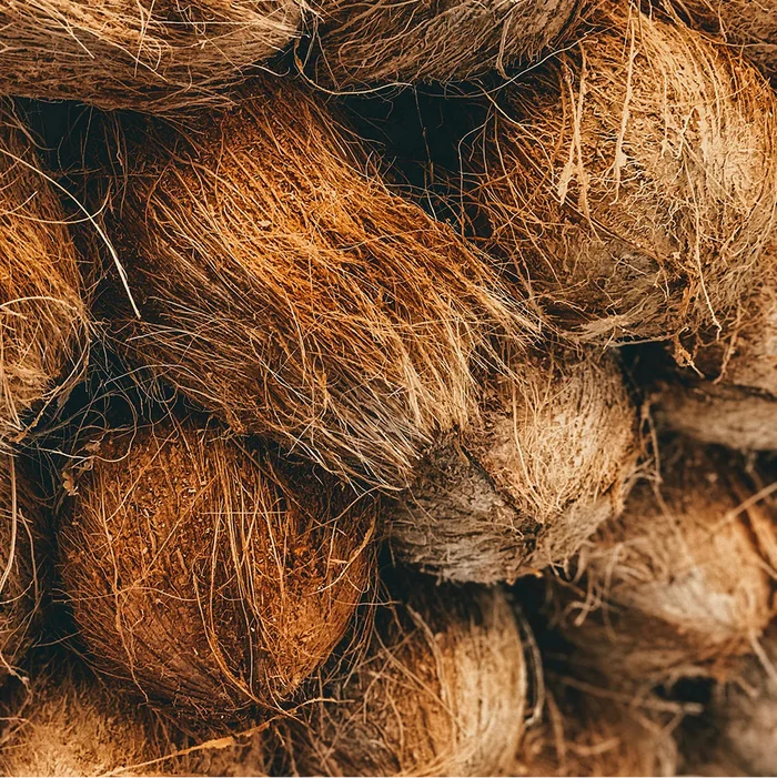 Mahana Coco Infusion
