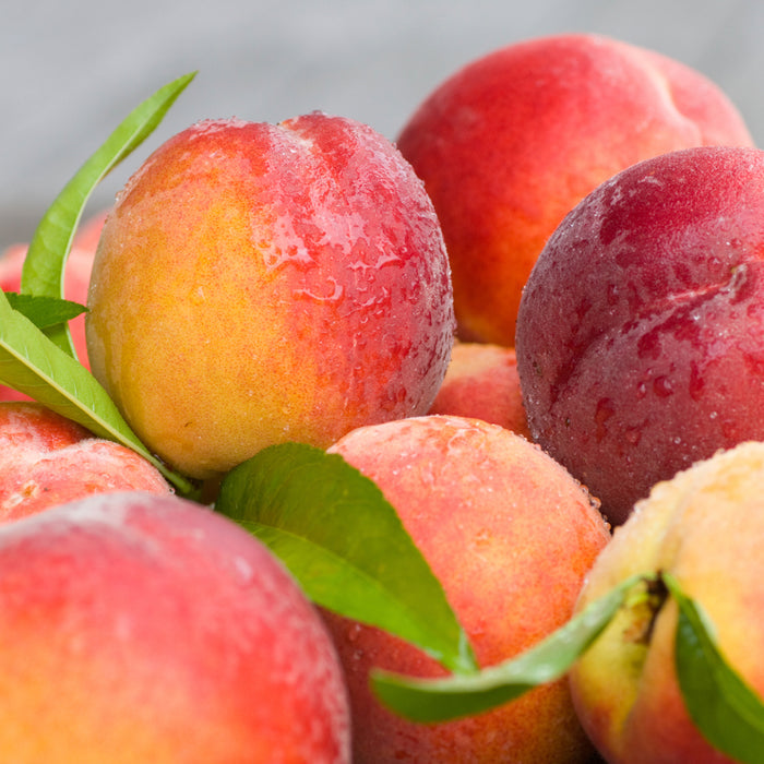 Market Peach Fragrance Oil 759