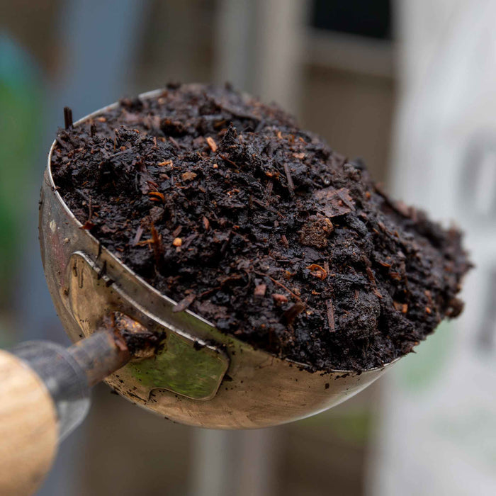 Metal potting scoop filled with dark organic extra against a blurred natural background.