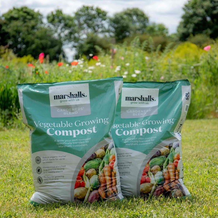 Marshalls Garden Vegetable Compost 50L