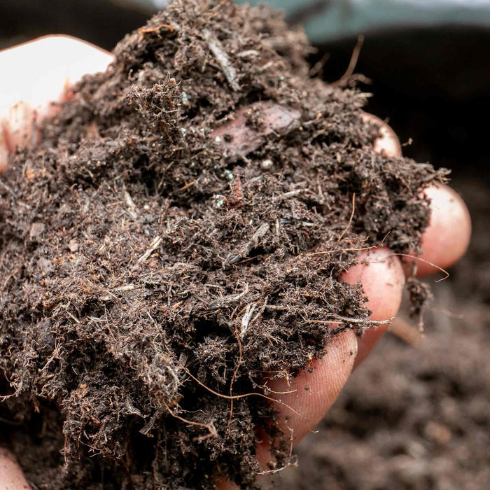 Marshalls Garden Vegetable Compost 50L