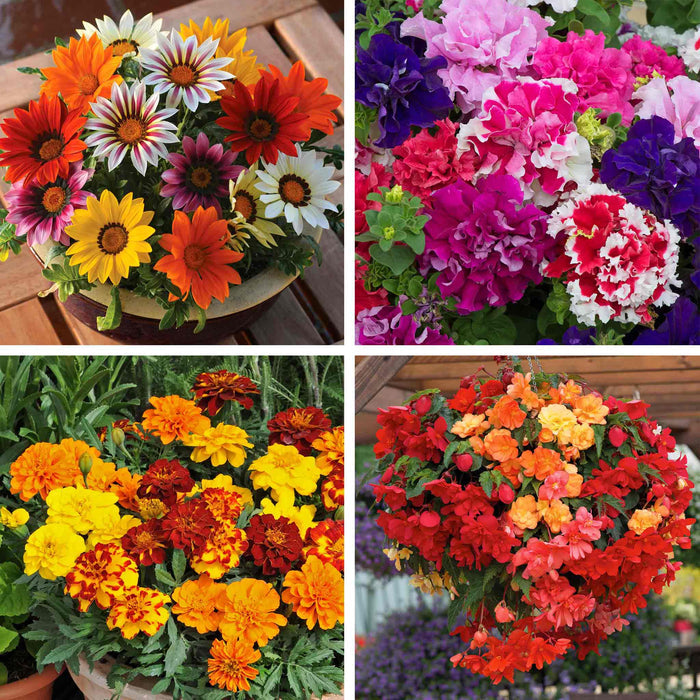 Marshalls Seedling Bedding Selection