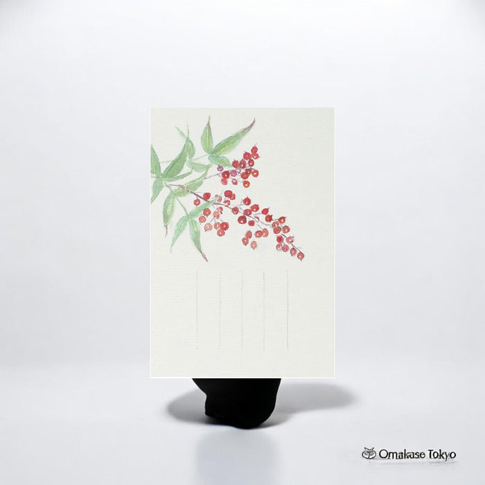 Medetaya Seasonal Postcard – Winter South Sky