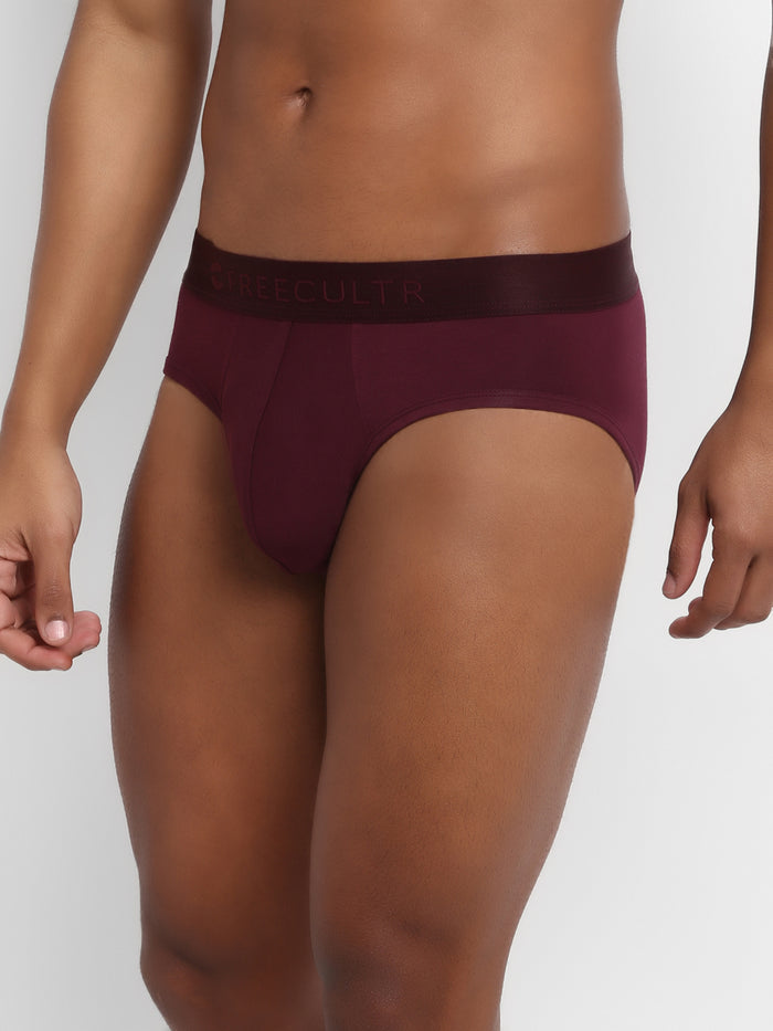 Men's Micro Modal & Elastane Brief in Solid Waistband (Pack of 1) - freecultr.com