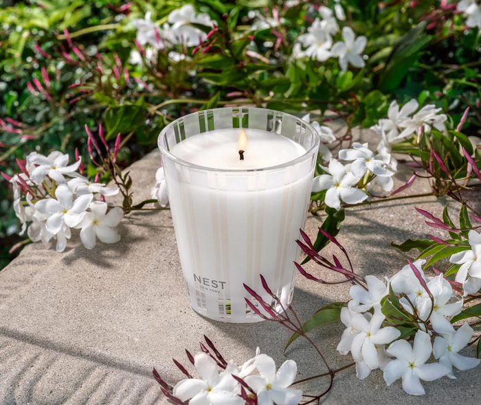 Nest Classic Candle 8.1oz Indian Jasmine Candles in  at Wrapsody