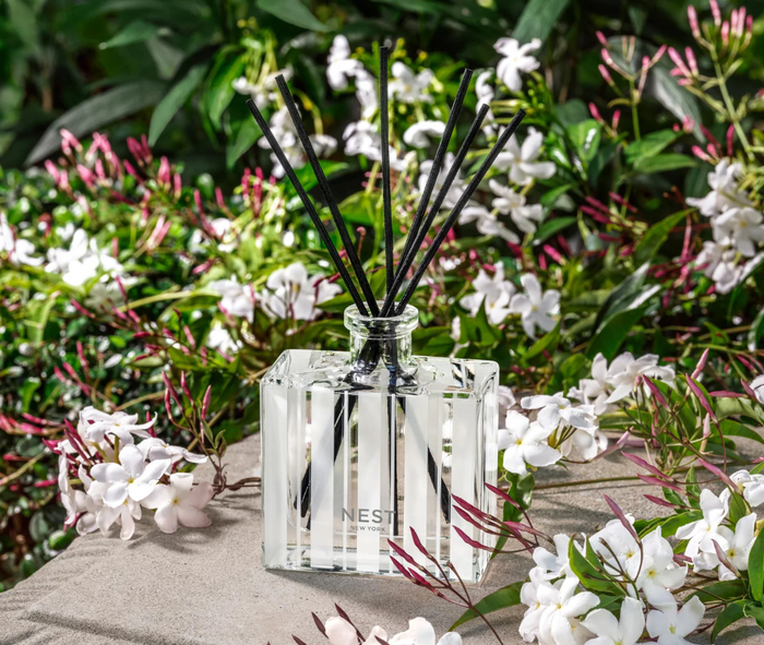 Nest Reed Diffuser 5.9oz Indian Jasmine Scents in  at Wrapsody
