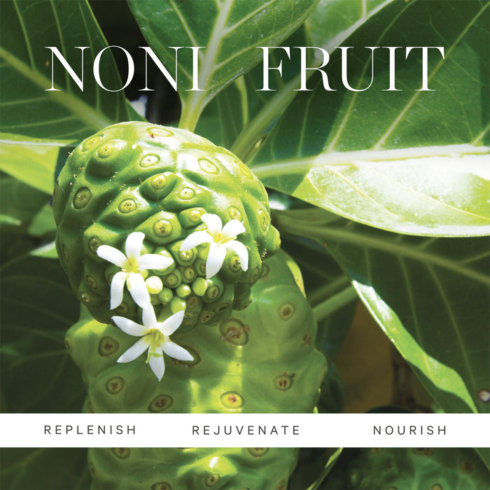Kora Organics-Noni Glow Body Oil-Body-5_PDP-Ingredient-Noni_V1_85141e19-a14f-4e9f-92ed-545e0b59b8c3-The Detox Market |