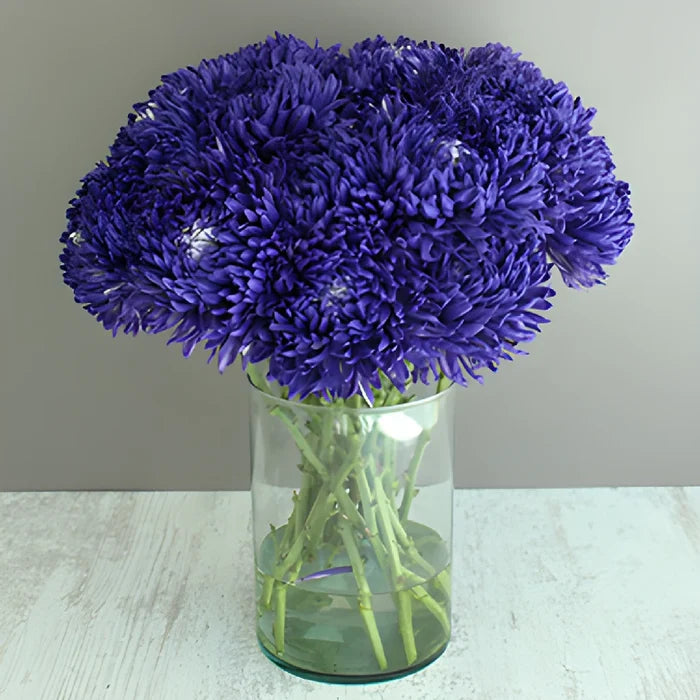 Northern Lights Purple TInted Football Mum Flowers