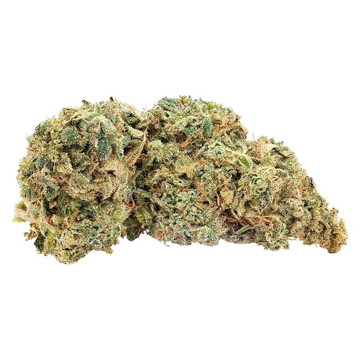 Big Bag O' Buds 28 g Northern Nights Flower