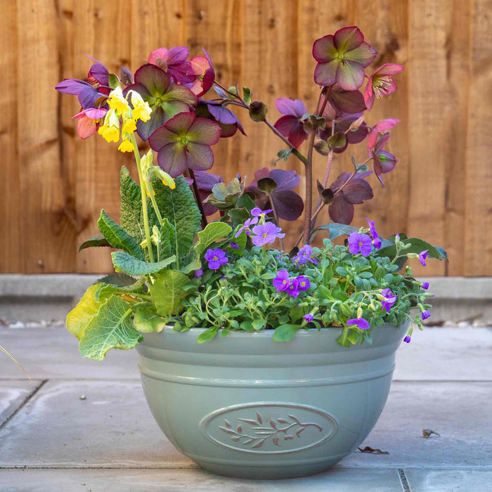 Olive Bowl Planters in Grey 30cm