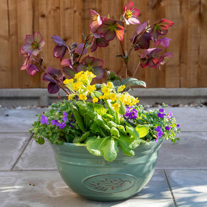 Olive Planter Bowl in Green 30cm