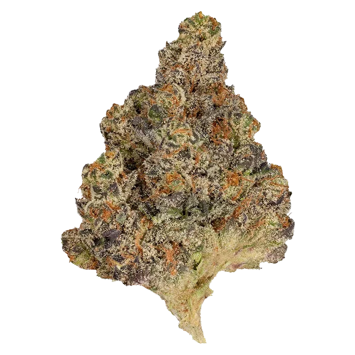 OMY! 7 g Part Time Flower