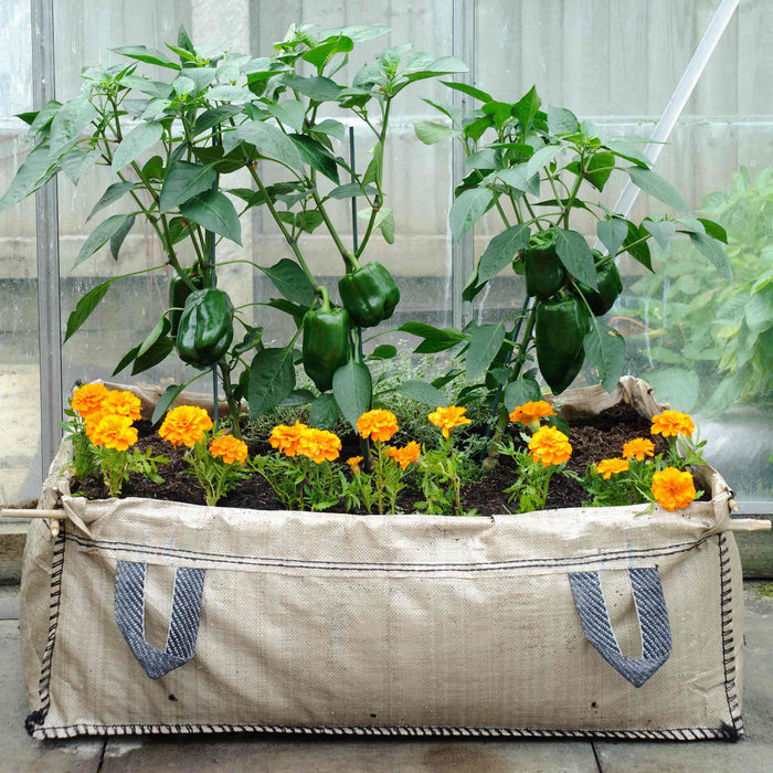 Patio & Greenhouse Grow Bed