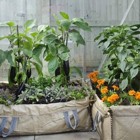 Patio & Greenhouse Grow Bed