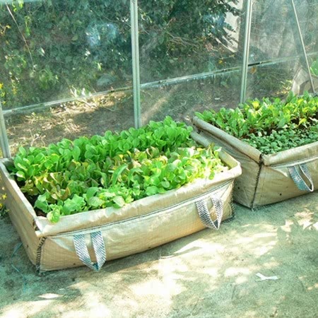 Patio & Greenhouse Grow Bed