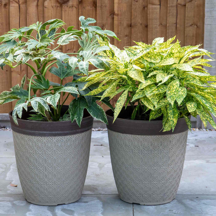 Phoebe Planters in Classic Creamy Fusion 14in