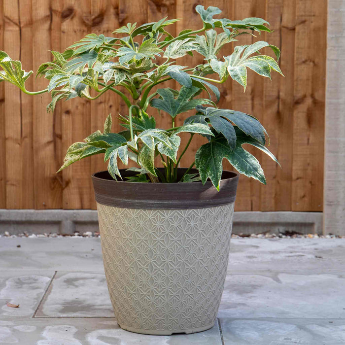 Phoebe Planters in Classic Creamy Fusion 14in